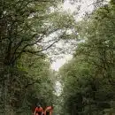 people walking on pathway between green trees during daytime